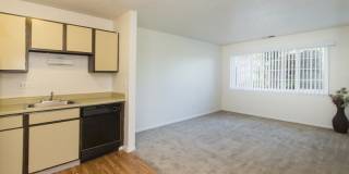 Austin Park Gallery 13