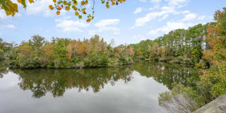 The Willow Gallery 41