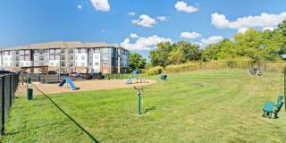 Kinsley Forest Gallery 22