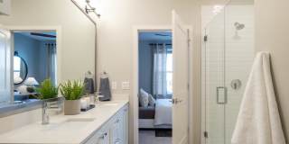 The William Gallery 17