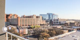 20 Midtown Gallery 52