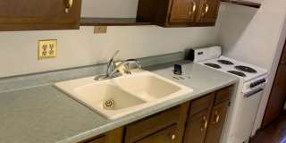 Nandale - Yellow Gallery 9