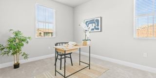 230 Steven Bridges Gallery 17