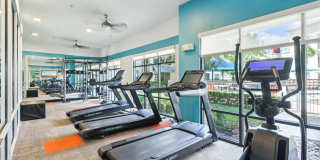 Park at Rialto Gallery 6