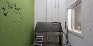 The Frasier Gallery 30