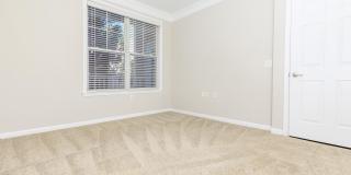 Emerson at Cherry Lane Gallery 41