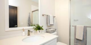 Library Park Apartment Gallery 23