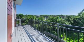 Alexan Harrison Apartments Gallery 31