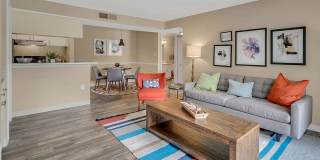 Cornerstone Gallery 12