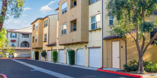 Paseos At Magnolia Luxury Apartment Homes Gallery 78