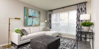 Oak Forest Gallery 26