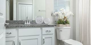Ashford Villas Apartment Homes Gallery 6