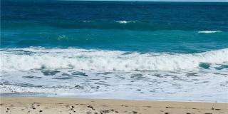 8880 S Ocean Drive unit: 1102 Gallery 96