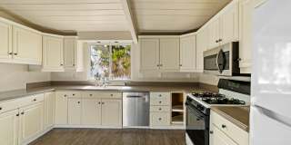 4902 54th St. Gallery 19