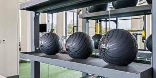 The Hallon Gallery 69