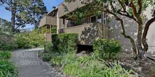 2450 West Bayshore Road Gallery 15