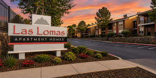 Las Lomas Gallery 13