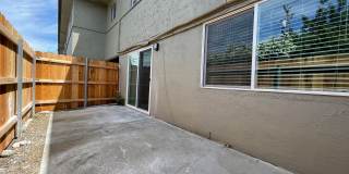 Summer Woods Gallery 11