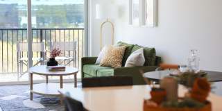 Wren on the Creek Gallery 10