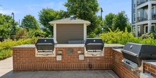 Watertown Mews Gallery 31