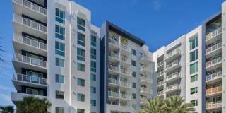 Tortoise One Gallery 30