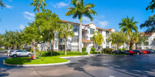 10X Port Royale 10X Port Royale Gallery 30