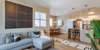 Icon One Daytona Gallery 8