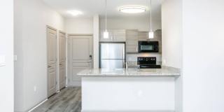 RIZE at Winter Springs Gallery 76