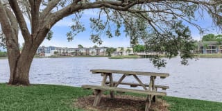 Fountain Lake Bradenton Gallery 37