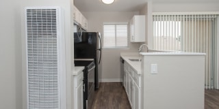 Pacific Vista Gallery 4