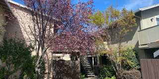 Des Moulin Gallery 9