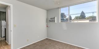 Dolphin Apartments Gallery 3