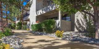 Sagecliff Apartments Gallery 28