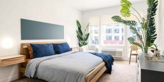 The Devan Gallery 18