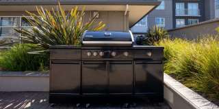 SOMA at 788 Gallery 23