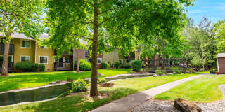 Aspen Glade Gallery 5