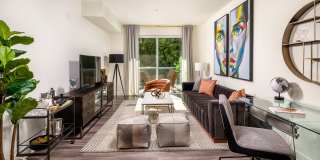 Ovelo Hollywood Gallery 14