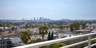 The Avenue Hollywood Gallery 22