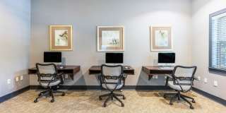 CityGreen at Northshore Gallery 38