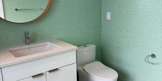 Silver Maple Stunning Gallery 24