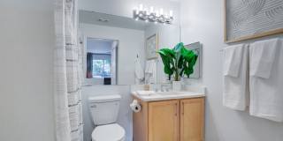 J Harbor Park at North Point Gallery 13