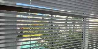 825 Jefferson Ave Gallery 13