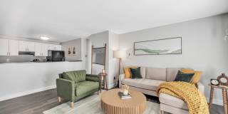 The Meadows Gallery 26