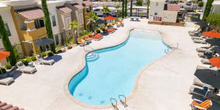 Sonoma Palms Gallery 23