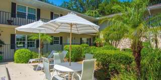 800 Coquina Lane Gallery 26