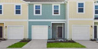 Coral Palms at Oakleaf Gallery 1