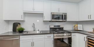 Vineyards Gallery 182