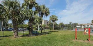 Sarasota South Gallery 35