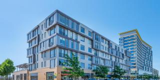 Flats on D Gallery 29