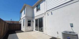 109 Clownfish Street 109 Clownfish Street Gallery 22